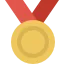 gold-medal icon